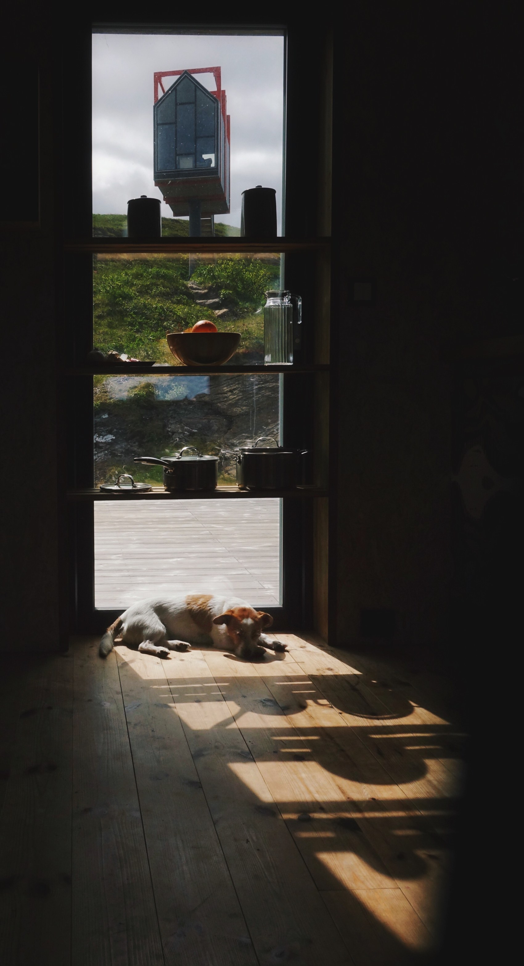 A dog asleep in a patch of sunlight, with a red-framed sculpture visible through the window behind it.