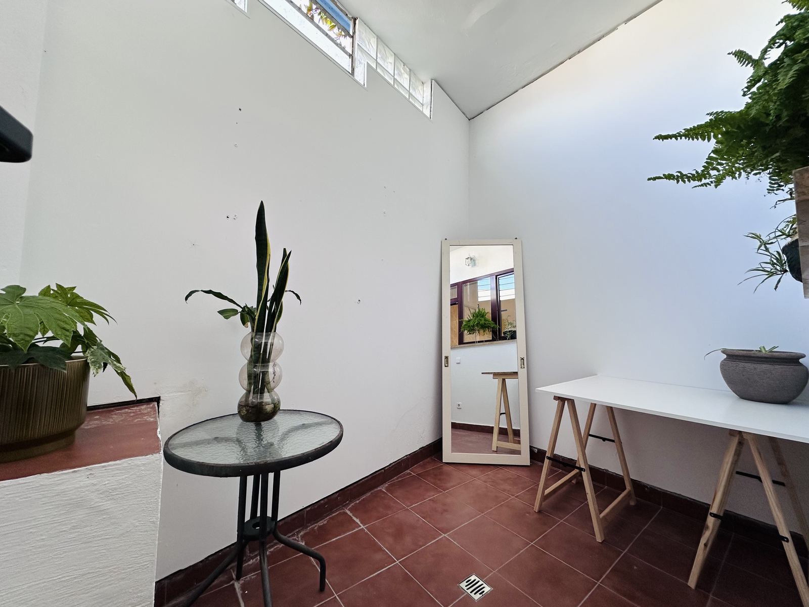 The private studio patio, with a worktable, a mirror and plants in the light.