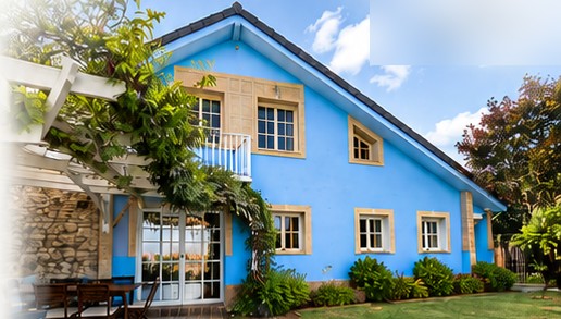 The blue exterior of Casa Azul, framed by a wisteria-covered pergola.
