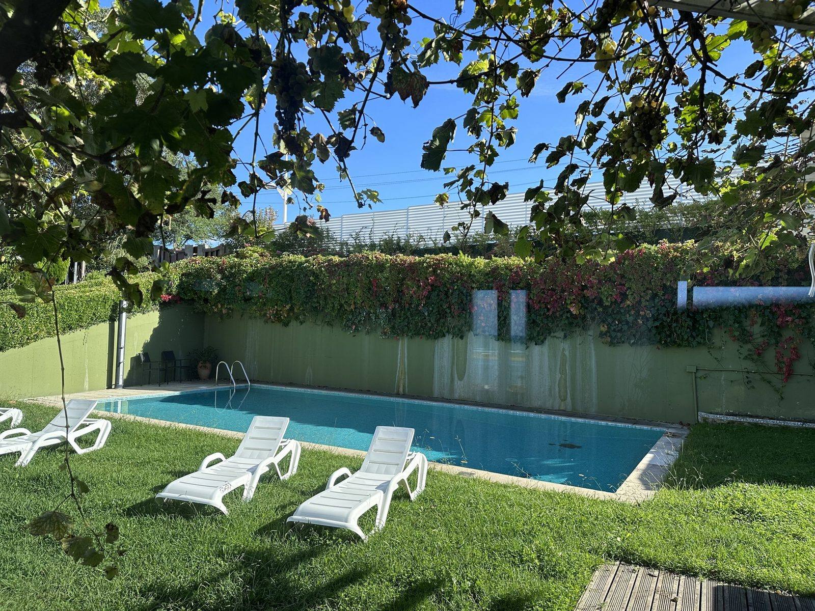 The swimming pool and white sun loungers, seen through the grapevine pergola in the sun.